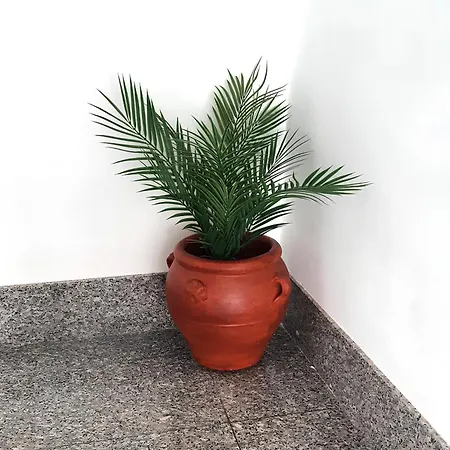 Apartament La Casetta Di Tano Morano Calabro